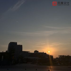 色精品视频在线观看
